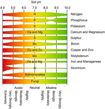 Soil Ph Level Chart