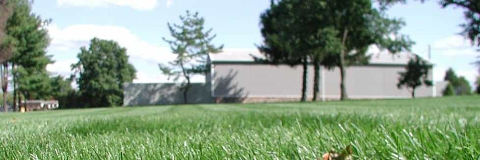 Lawn Care Service Fertilizer, Landscape Maintenance Services Hillsborough Nj