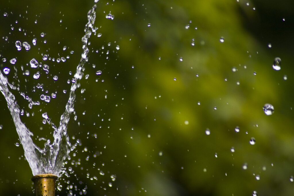 Watering the Plants