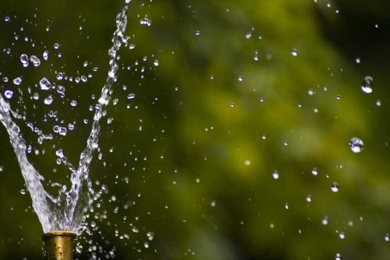 Watering the Plants