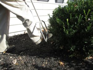 Deep root fertilization injects nutrients directly into the root zone.
