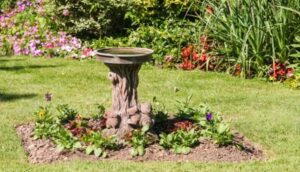 Birdbath with standing water