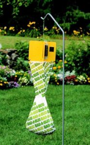 Japanese Beetle trap