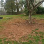 erosion in lawn