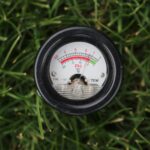 Picture of a pH meter reading the soil pH in a lawn
