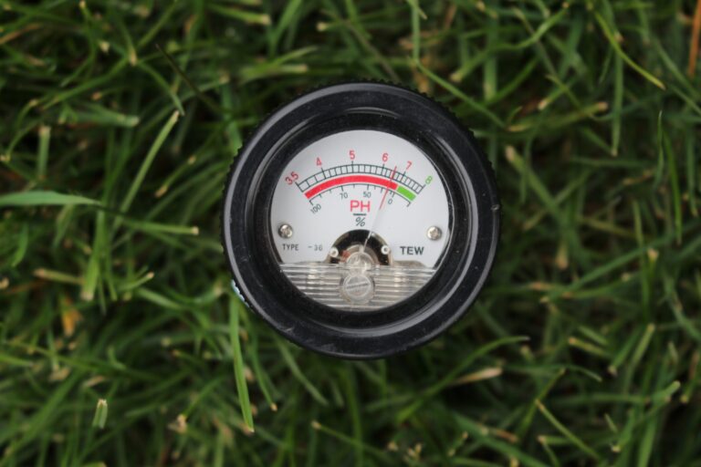 Picture of a pH meter reading the soil pH in a lawn
