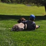 Picture of a boy and dog enjoying a tick free lawn