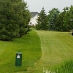 Cut lawn