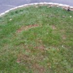 mowing traffic spot