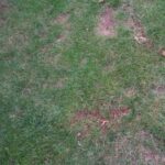 mowing traffic spot