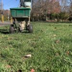 winterizing lawn