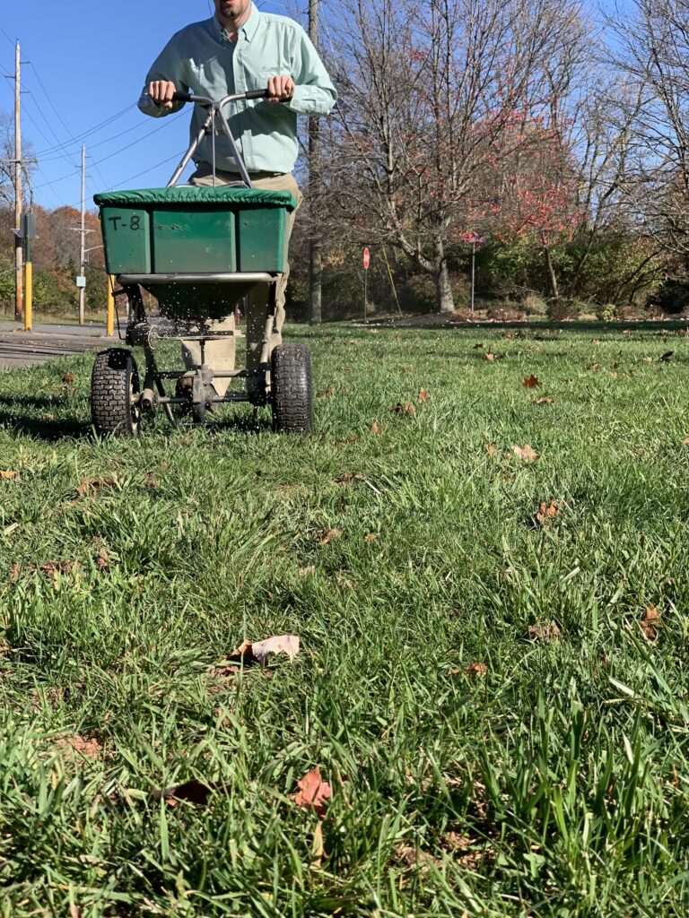 winterizing lawn