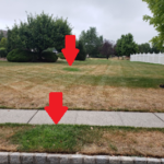 damaged lawn