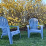 chairs in a yard