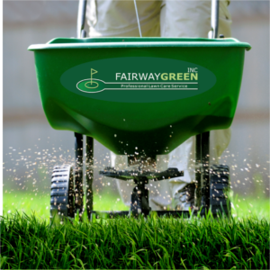 Picture of a Fairway Green spreader spreading lime on a lawn
