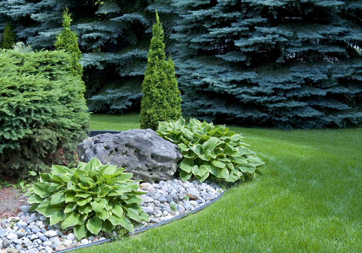 Picture of trees & shrubs treated with comprehensive tree & shrub program