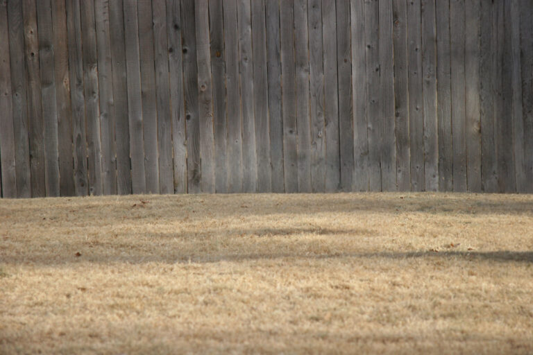 Dormant lawn in the winter time.
