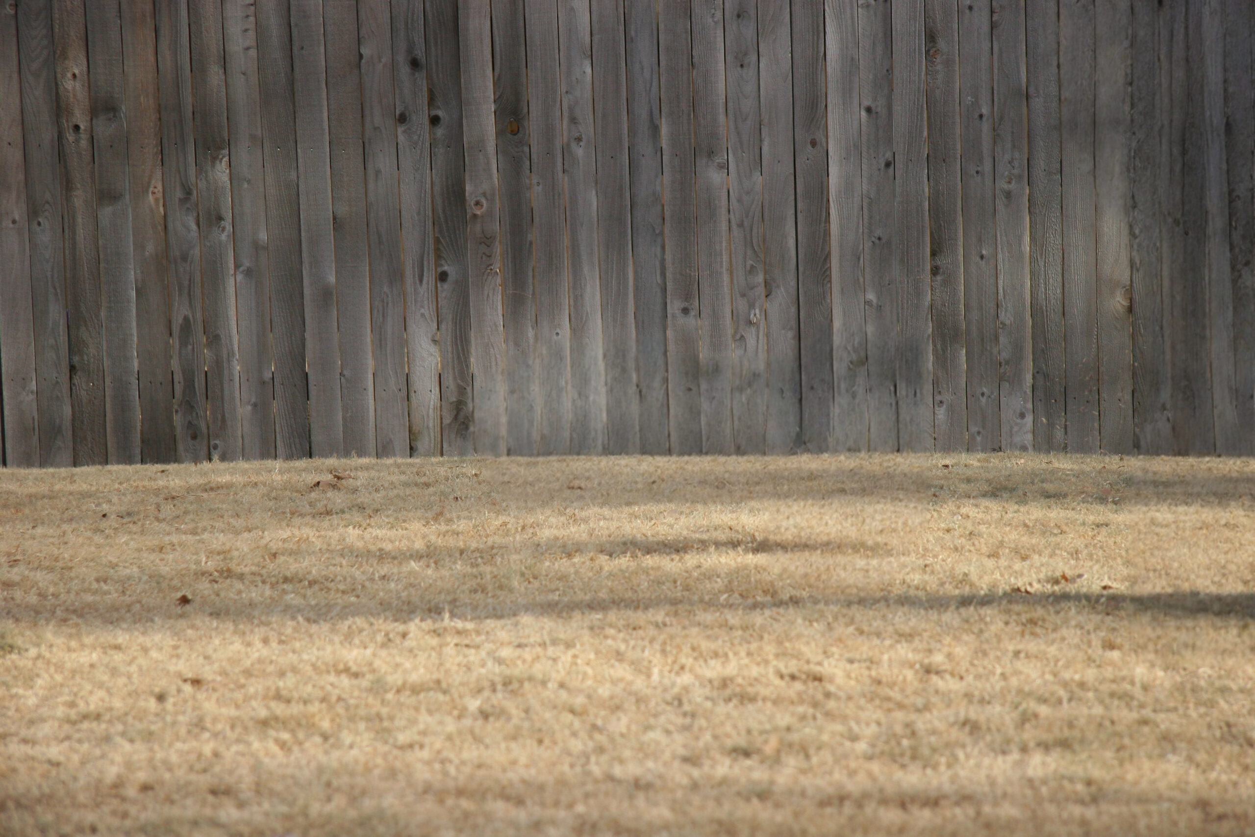 Dormant lawn in the winter time.