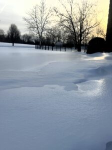 Picture of yard where ice has frozen over the snow.