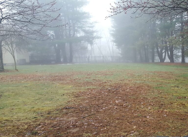 Big areas of brown patches in a lawn after the snow has melted.