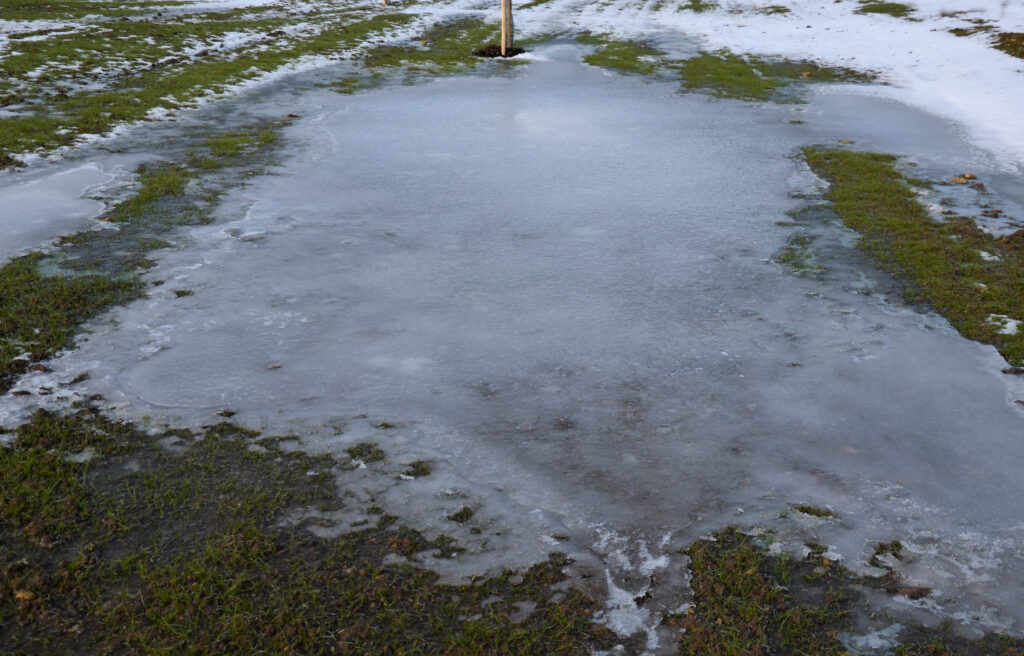 This picture illustrates poor drainage in a lawn causing ice to and water to accumulate.  