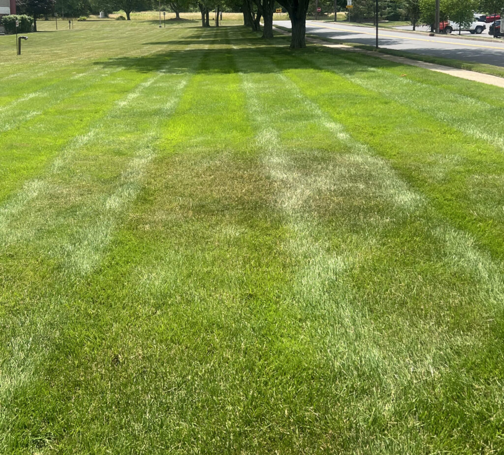 Start of drought stress