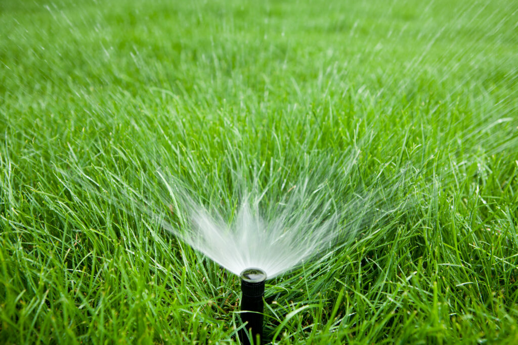 Image shows a sprinkler head watering a lawn.